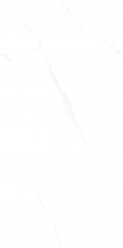 PJ75305A 伊兰白-