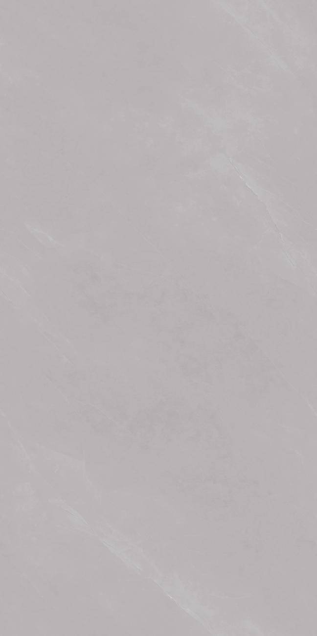 PJJ189108A