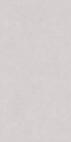 PJJ189107A