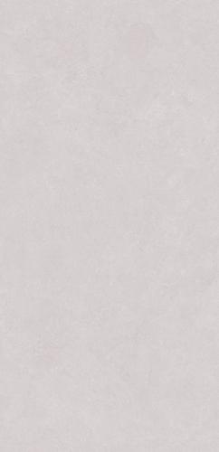PJJ189107A