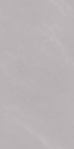 PJJ189108A