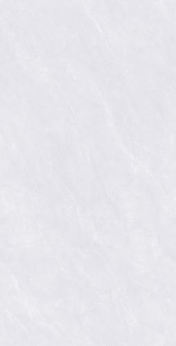PJL1285C03A布鲁克