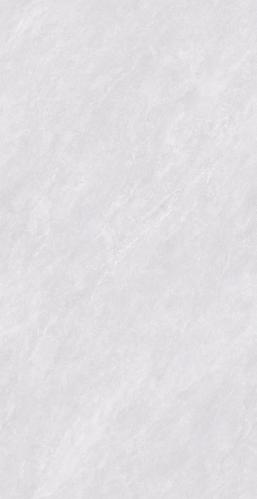 PJL1585C02A帕斯卡