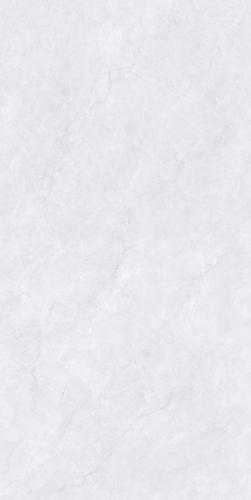 PJL1585C06A阿尔特斯