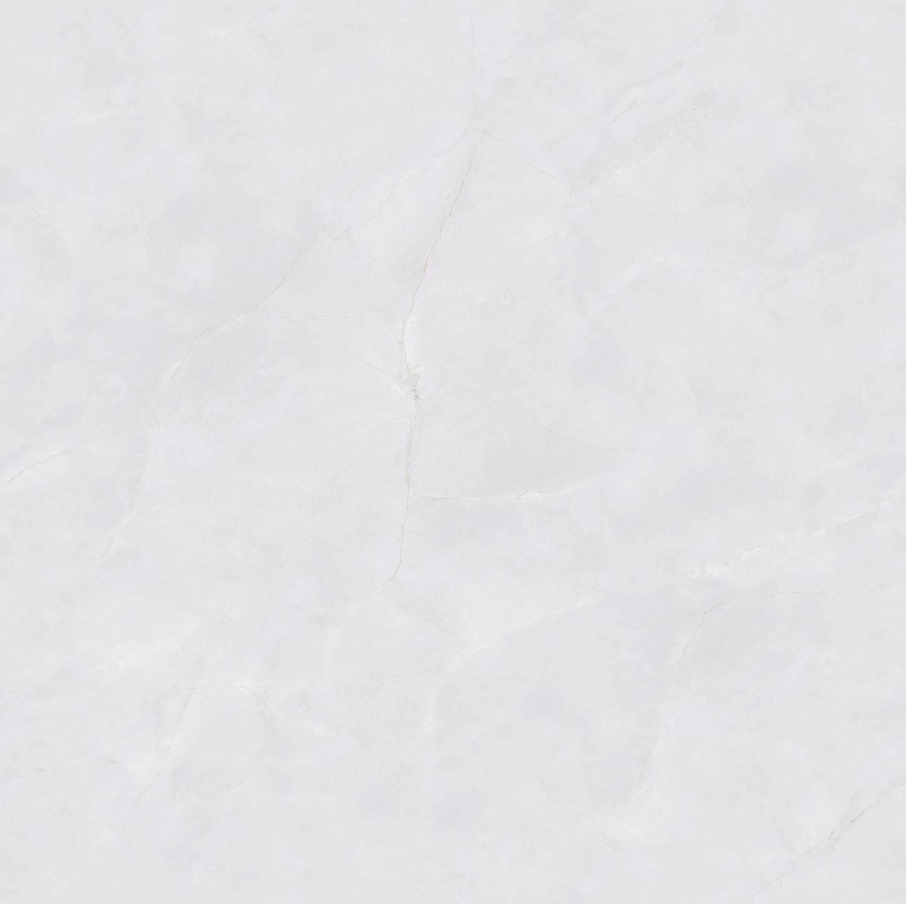 PJL808C21A福伊波斯