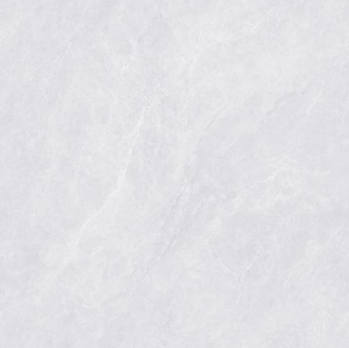 PJL808C21A福伊波斯