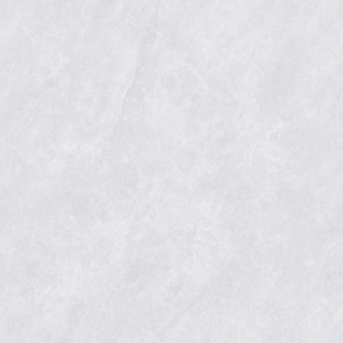 PJL808C21A福伊波斯