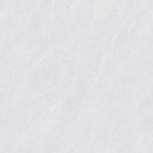 PJL808C21A福伊波斯