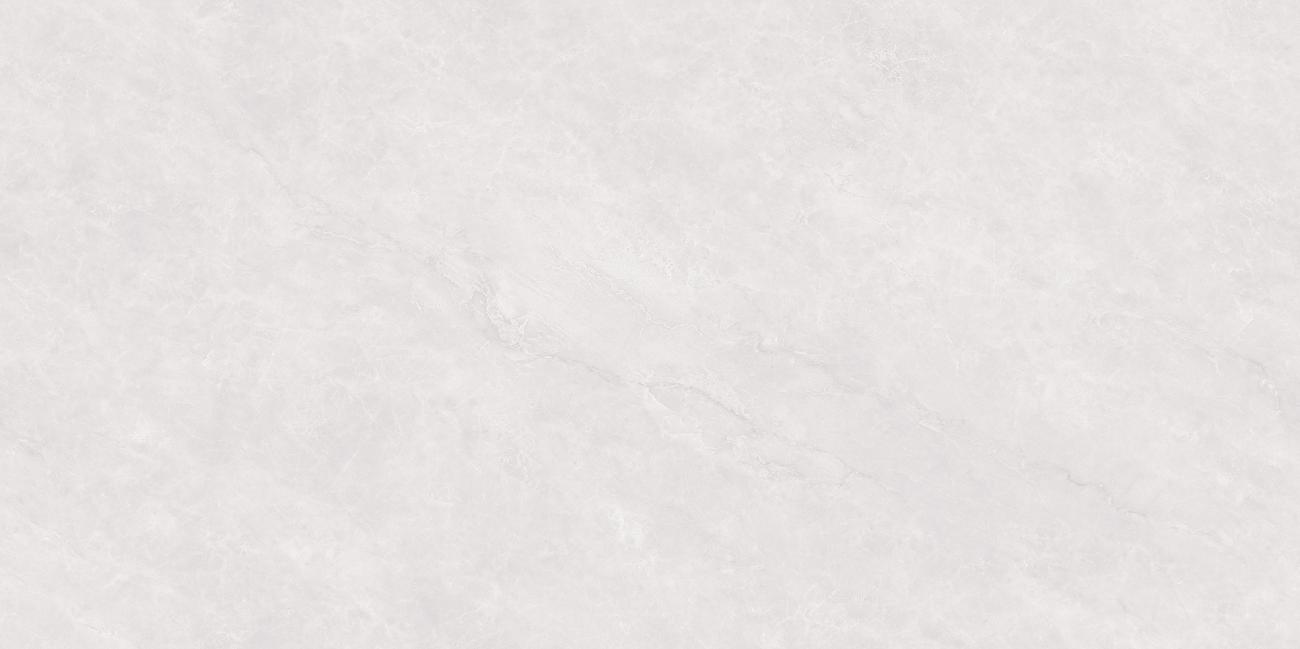 PJL488T21A福伊波斯