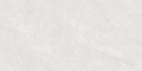 PJL488T21A福伊波斯