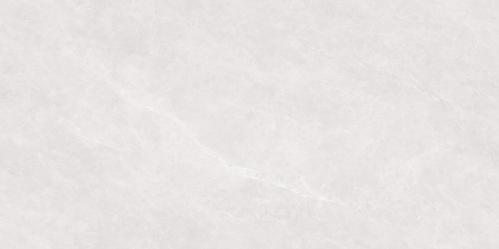 PJL488T21A福伊波斯