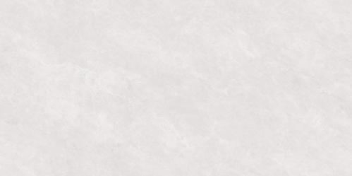 PJL488T21A福伊波斯