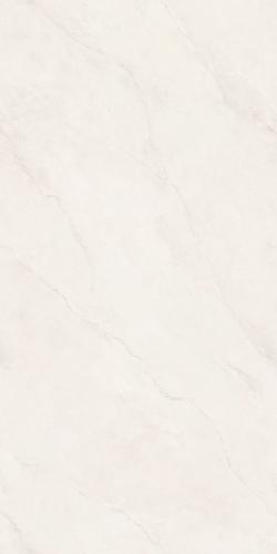 PJL1585C07A里斯本