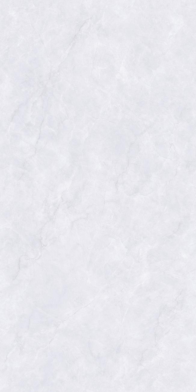 PJL1885C06A阿尔特斯