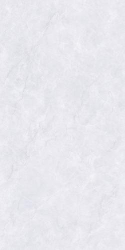 PJL1885C06A阿尔特斯