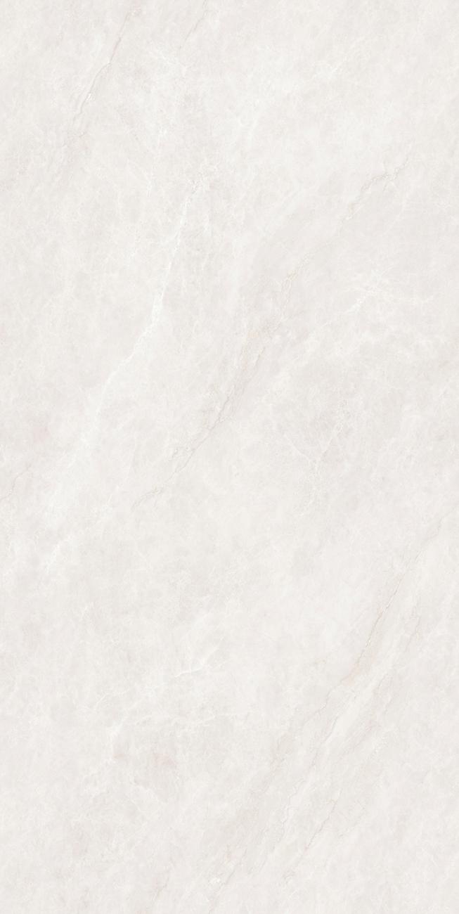 PJL1585C21A福伊波斯