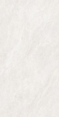 PJL1585C21A福伊波斯