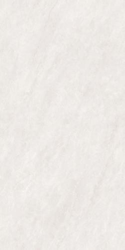 PJL1585C21A福伊波斯